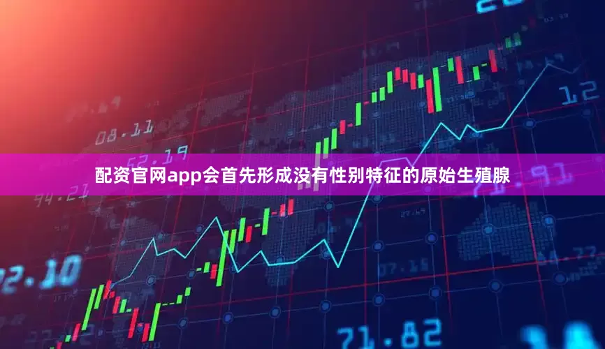 配资官网app会首先形成没有性别特征的原始生殖腺