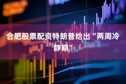 合肥股票配资特朗普给出“两周冷静期”