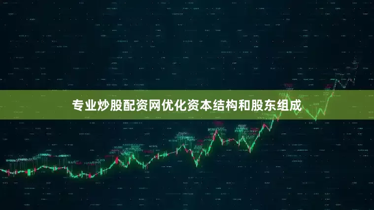 专业炒股配资网优化资本结构和股东组成