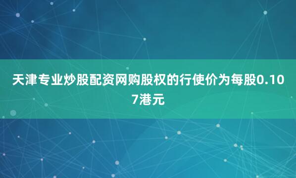 天津专业炒股配资网购股权的行使价为每股0.107港元