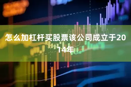 怎么加杠杆买股票该公司成立于2014年