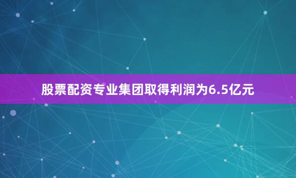 股票配资专业集团取得利润为6.5亿元