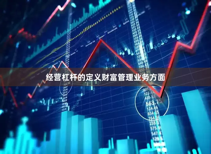 经营杠杆的定义　　财富管理业务方面