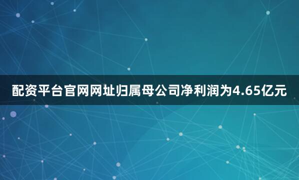 配资平台官网网址归属母公司净利润为4.65亿元