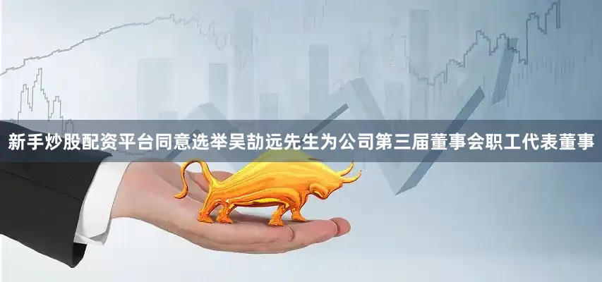 新手炒股配资平台同意选举吴劼远先生为公司第三届董事会职工代表董事