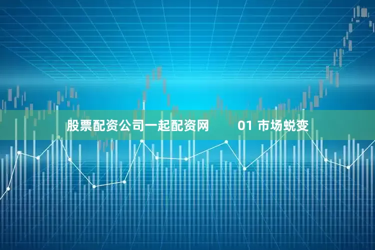 股票配资公司一起配资网        01 市场蜕变